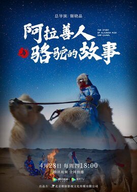 阿拉善人与骆驼的故事