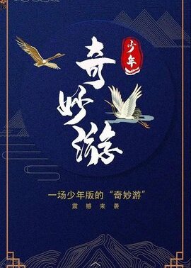 少年奇妙游封面图