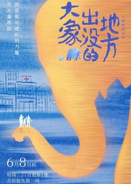 大象出没的地方