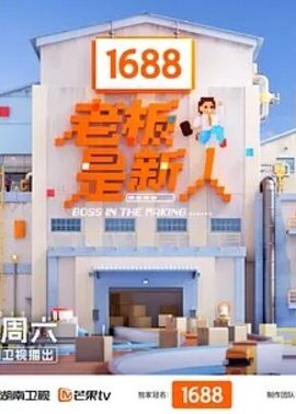 老板是新人