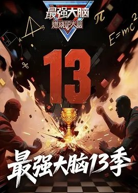 最强大脑第13季