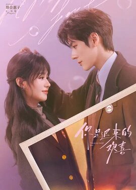 你是迟来的欢喜