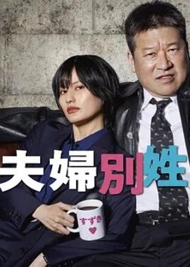 夫妇别姓刑警