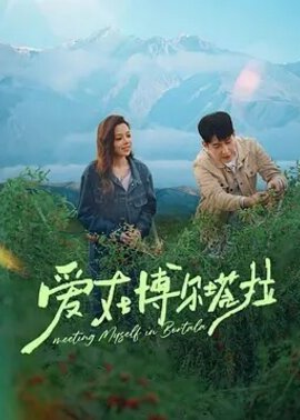爱在博尔塔拉